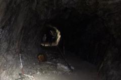 IMG-20211003-WA0128