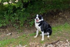 IMG-20240707-WA0009