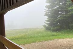 IMG-20240707-WA0012